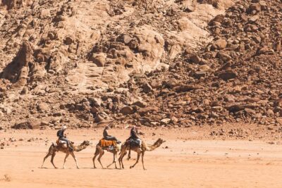 Wadi Rum: Camel Trek Adventure - Protected Area riding: Lawrence Spring, dunes, canyons, and stop-and-stare moments