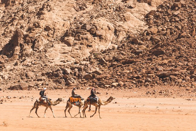 Wadi Rum: Camel Trek Adventure - Protected Area riding: Lawrence Spring, dunes, canyons, and stop-and-stare moments