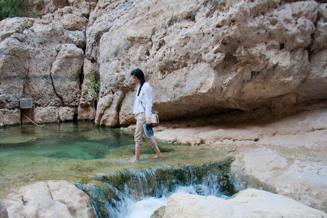 Wadi Shab Coastal Trekking - Price and value: what $208 buys you for a private day