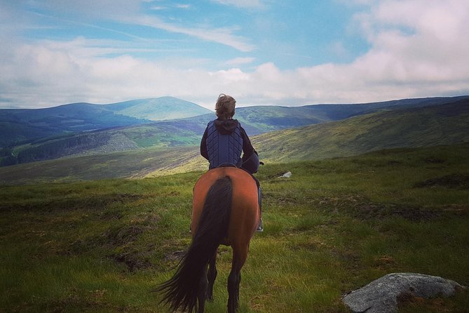 Wicklow Mountains Horse Trekking - Key things that make this trek worth your morning