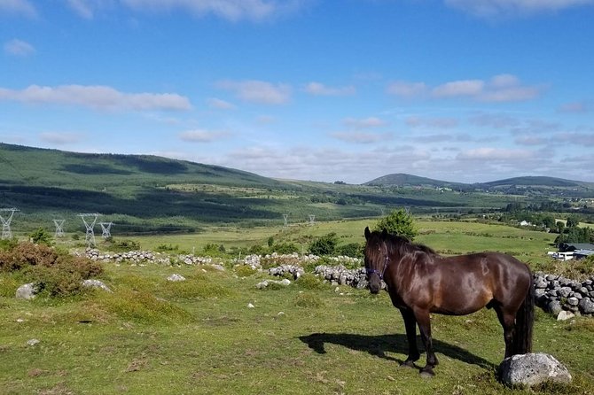 Wicklow Mountains Horse Trekking - Entering Wicklow by Horse: The vibe you’re paying for