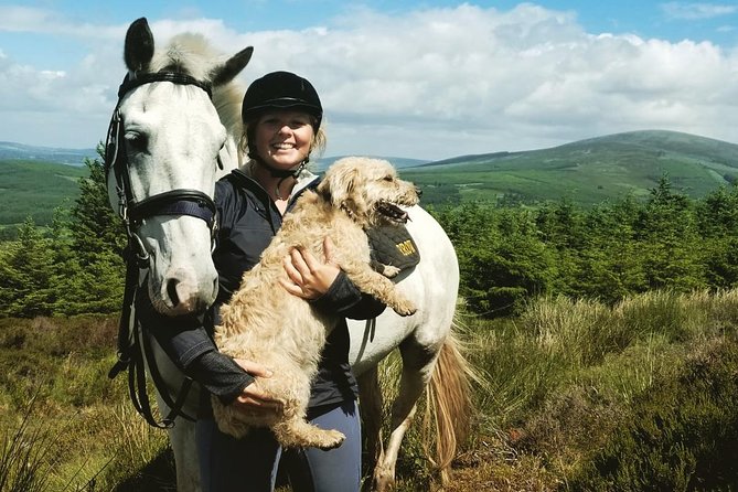 Wicklow Mountains Horse Trekking - The quick lesson that makes beginners feel steady
