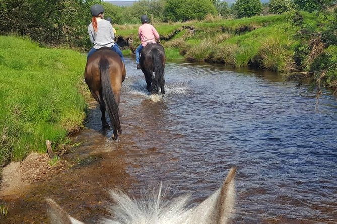 Wicklow Mountains Horse Trekking - Riding over Wicklow Mountains and down the Kings River valley