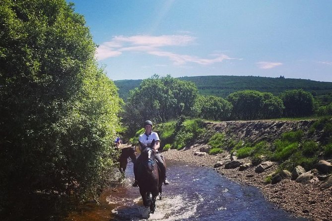 Wicklow Mountains Horse Trekking - Guide care in real life: Ray, Lisa, Nicole, Jack, and Apple