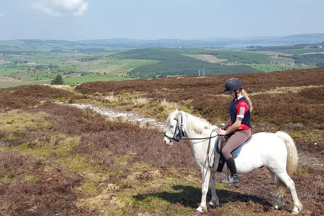 Wicklow Mountains Horse Trekking - Price and value: $90.70 for 1 hour 20 minutes in true countryside