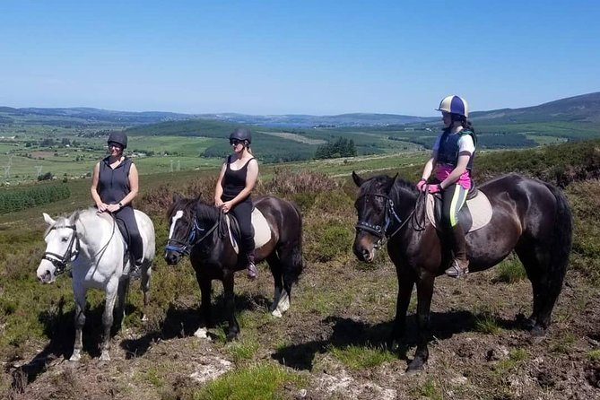Wicklow Mountains Horse Trekking - Weather in the Wicklow Mountains: be ready, but don’t panic