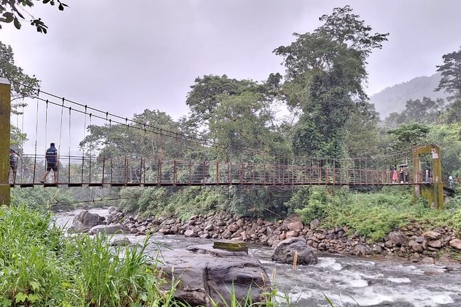 Wild Elephant Anakulam & Waterfalls Tour(munnar valley Trekking) - Price and Logistics: What You Get for Around $70