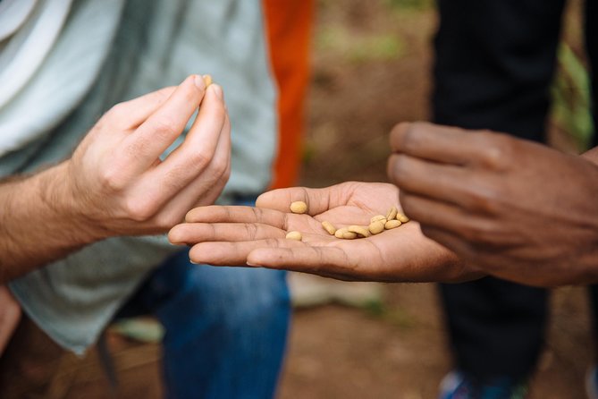 Women-led Coffee Farm Trek - Getting started in Kigali: the 8:00 am flow