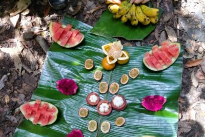 Wonderful 2Days 1Night Bukit Lawang Jungle Trekking Free Rafting - Price and Logistics: What $145.12 Covers (and Why It Matters)