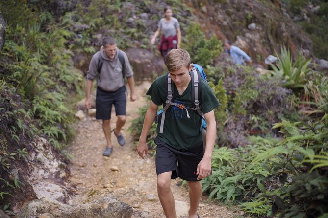Wonderful 7 Days North Sumatra Tour (Include: 2 Days 1 Night Jungle Trekking) - Day 1 from Medan to Bukit Lawang: warm-up for the rainforest days