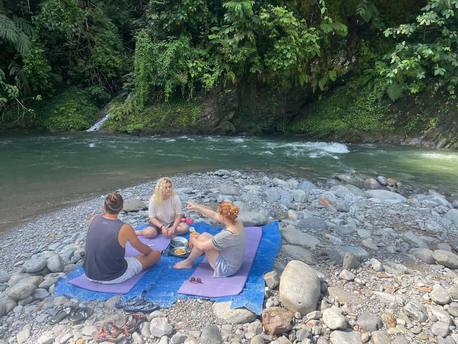 Wonderfull Orangutan Sumatera Jungle Trekking and tour - Why this Gunung Leuser orangutan trek feels different than a quick outing