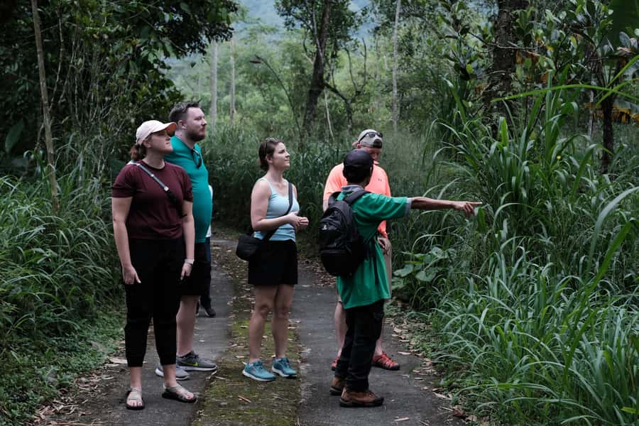 Yogyakarta : Mount Merapi Soft Trek and Botanic Village Tour - Key Takeaways Before You Go