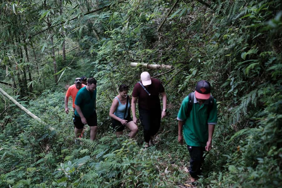 Yogyakarta : Mount Merapi Soft Trek and Botanic Village Tour - Practical Tips That Improve Your Day Immediately