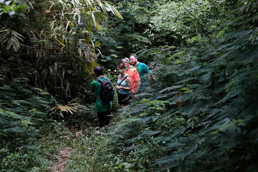 Yogyakarta : Mount Merapi Soft Trek and Botanic Village Tour - Merapi Views: How to Read the Sky and Still Enjoy the Day