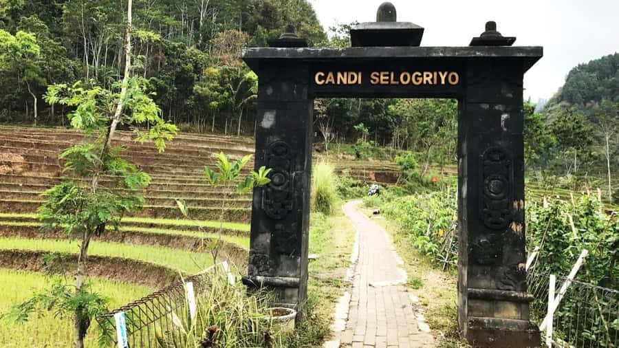 Yogyakarta: Selogriyo Temple and Rice Terrace Soft Trekking - The Return Ride and Stop for Food: Keep Your Energy Up