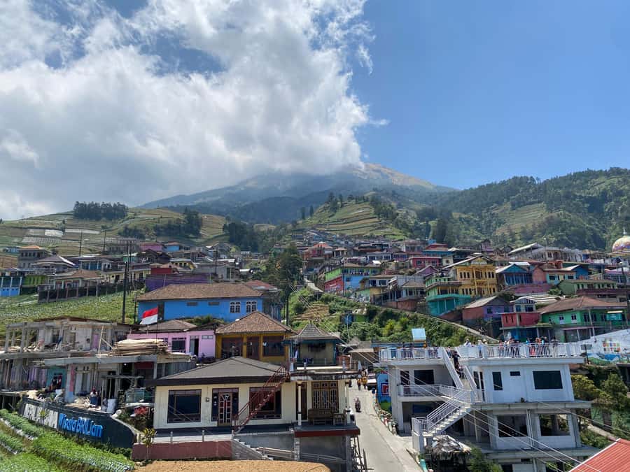 Yogyakarta :selogriyo temple, rice field trek& nepalvan java - How the day flows from Yogyakarta (and why it matters)