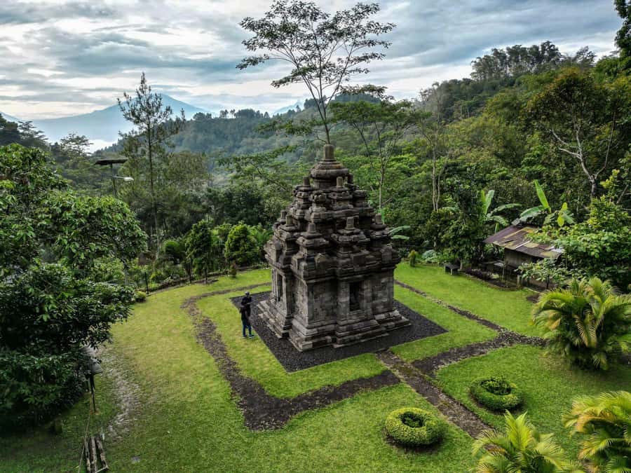 Yogyakarta :selogriyo temple, rice field trek& nepalvan java - Nepalvan Java vegetable hill: see the work behind the greens
