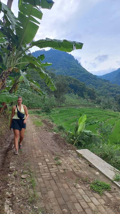 Yogyakarta :selogriyo temple, rice field trek& nepalvan java - Selogriyo Temple: 9th-century Mataram stone in a quieter mood
