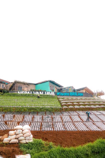 Yogyakarta :selogriyo temple, rice field trek& nepalvan java - Tickets, transport, and what $52 really covers