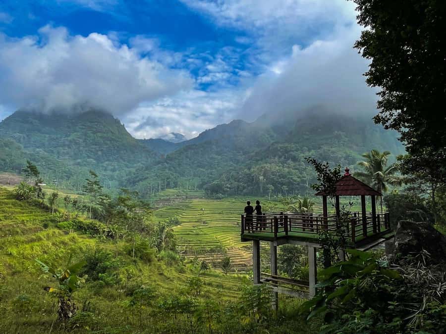 Yogyakarta :selogriyo temple, rice field trek& nepalvan java - Who should book this tour (and who might not love it)