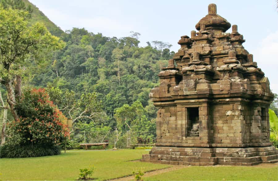 Yogyakarta: Selogriyo Temple Tour & Java Rice Terrace Trek - Who This Tour Suits Best (And Who Might Want a Different Day)