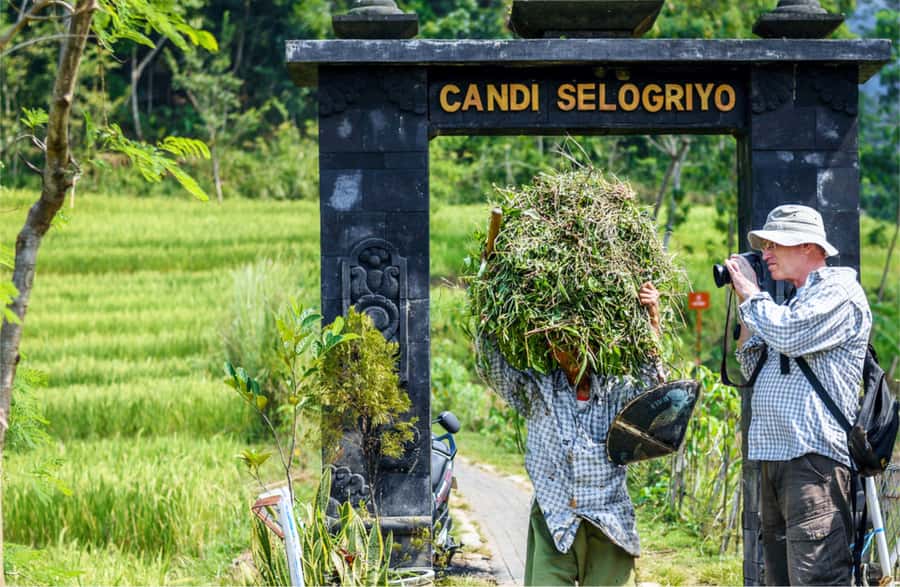 Yogyakarta: Selogriyo Temple Tour & Java Rice Terrace Trek - Should You Book This Selogriyo Temple and Java Rice Terrace Tour?